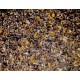 Mélange concassé + granulés poule pondeuse Vadigran 20 Kg