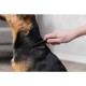 Peigne anti puce 15cm