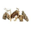 Scalare roches + racines Alveolate Rock