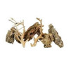Scalare roches + racines Alveolate Rock