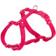  Fushia