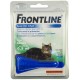 ancien Frontline chat