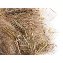 Sisal Fibre Mix Psittacidés formule active 50 g