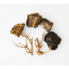 Scalare roches + racines Wood Fossil