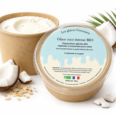 Glace bio coco intense pour chien 40g