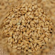 Versele Laga Riz paddy 20 Kg