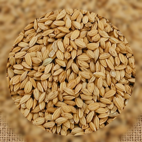 Versele Laga Riz paddy 20 Kg
