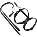 Flamingo Harnais pour chat avec laisse Ziggi noir