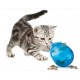 Funkitty egg-cersizer pour chat