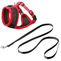 Set harnais chaton noir et rouge 10 mm