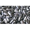 Versele Laga Tournesol noir 15Kg
