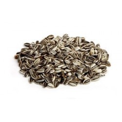 Tournesol strié 12.5 Kg