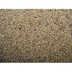 Scalare Grind caviar 10Kg