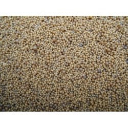 Scalare Grind caviar 10Kg