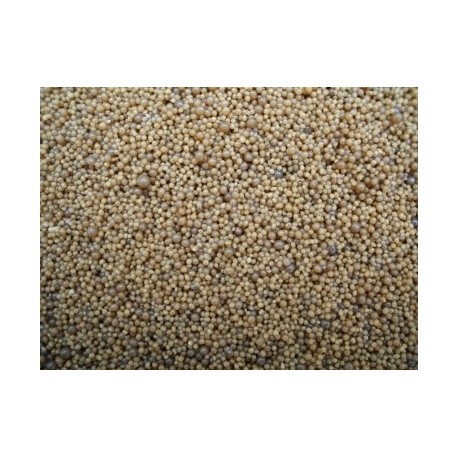 Scalare Grind caviar 10Kg