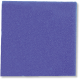 JBL Plaque de mousse 50 X 50 X 2.5 cm maille grosse bleue