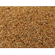 Millet plata 1 Kg