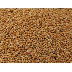 Millet plata 1 Kg