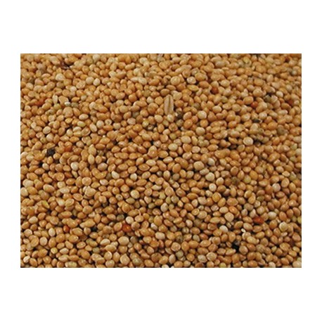 Millet plata 1 Kg