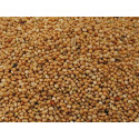 Ornibird Millet jaune 1 Kg