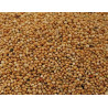 Millet plata 1 Kg