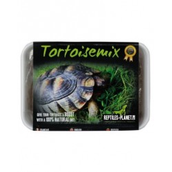 Reptiles Planet Tortoisemix graines à germer