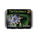 Reptiles Planet Tortoisemix graines à germer