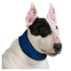 Collier rafraîchissant Cooling collar