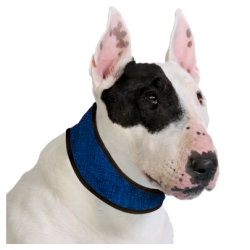 Collier rafraîchissant Cooling collar