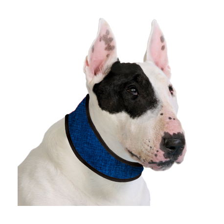 Collier rafraîchissant Cooling collar