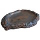 Gamelle ecuelle plate pour reptile