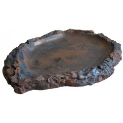 Gamelle ecuelle plate pour reptile