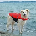 Gilet de flottaison pour chien