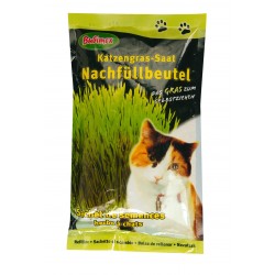 Bubimex Recharge d'herbe à chat 100 g