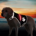 Trixie Gilet de sécurité USB Flash pour chien S