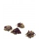 Friandises rongeurs à l'hibiscus Nature 60g