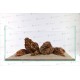 Deco set Dragon Stone pour 60L