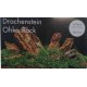 Deco set Dragon Stone pour 60L