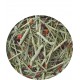 Foin avec betteraves et tomates Nature 500g