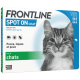Frontline chat