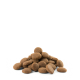 Opti life Adult Maxi Versele Laga - croquettes pour chien de + de 25 kg - sac de 12.5 Kg