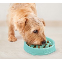 Gamelle anti glouton Fun Feeder Wave XS