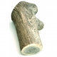 bois de cerf naturel XXL