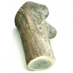 bois de cerf naturel XXL
