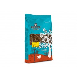 Vers de farine séchés 200 g
