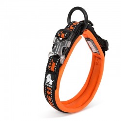 Truelove Collier chien Flex +