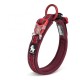 Collier chien Truelove Flex +