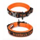 Collier chien Truelove Flex +