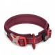 Collier chien Truelove Flex +