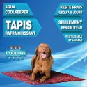 Aqua Coolkeeper Tapis rafraichissant Cooling Mat 100 X 90 cm rouge